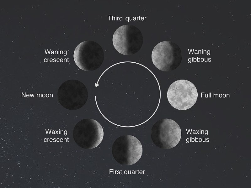 How Many Moon Phases Are There Lunarsail Com
