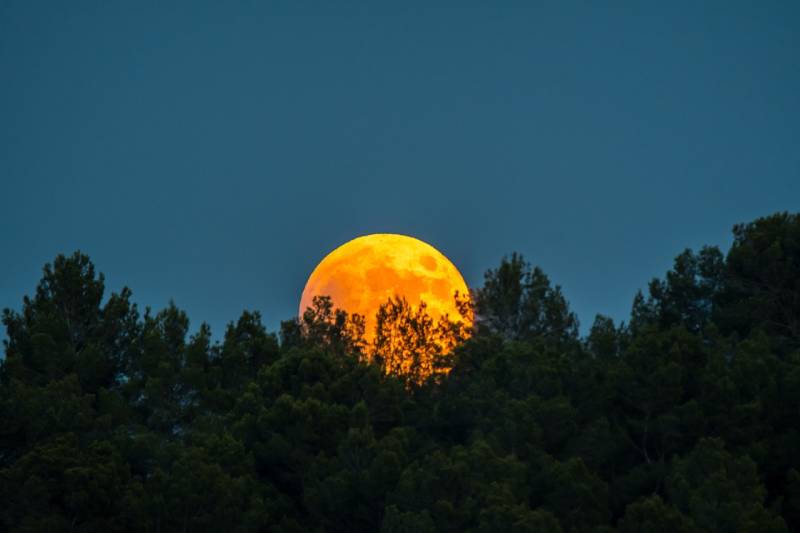 The Moon Showing Orange Near Horizon